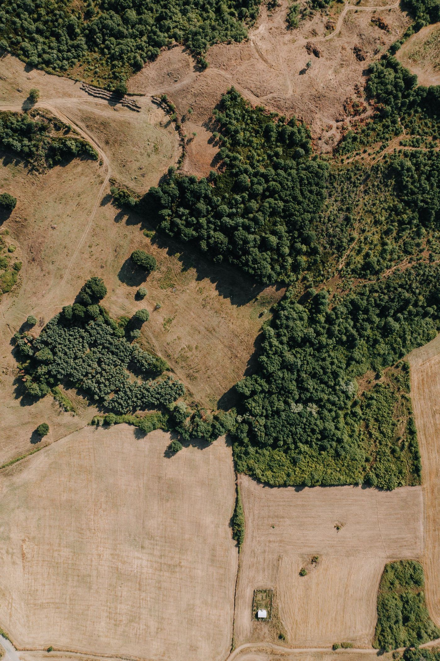 Aerial view of a wooded, undeveloped site parceled by tree lines and access roads.